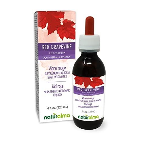 Naturalma Red Grapevine (Vitis vinifera) Leaf Alcohol-Free Tincture - Liquid Extract in Drops - Herbal Supplement - Vegan
