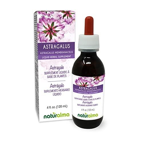 Naturalma Astragalus (Astragalus membranaceus) root Tincture - Liquid extract in drops - Herbal supplement - Vegan