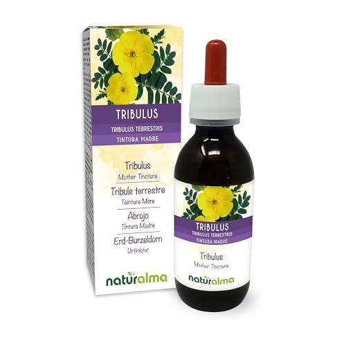 Naturalma Tribulus (Tribulus terrestris) Fruit Alcohol-Free Tincture - Liquid Extract in Drops - Herbal Supplement - Vegan