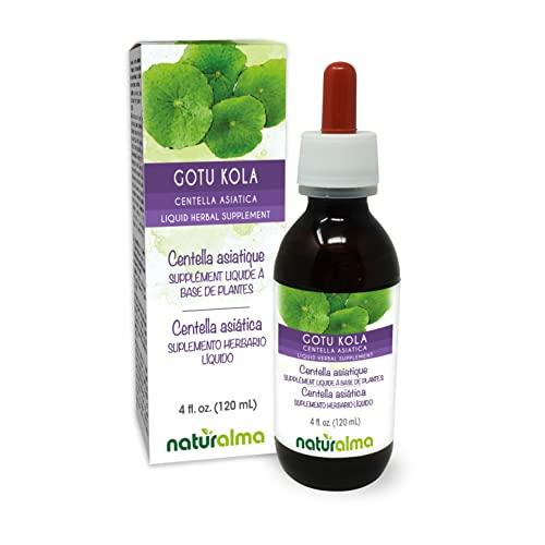 Naturalma Gotu kola (Centella asiatica) herb Alcohol-Free Tincture - Liquid Extract in Drops - Herbal Supplement - Vegan