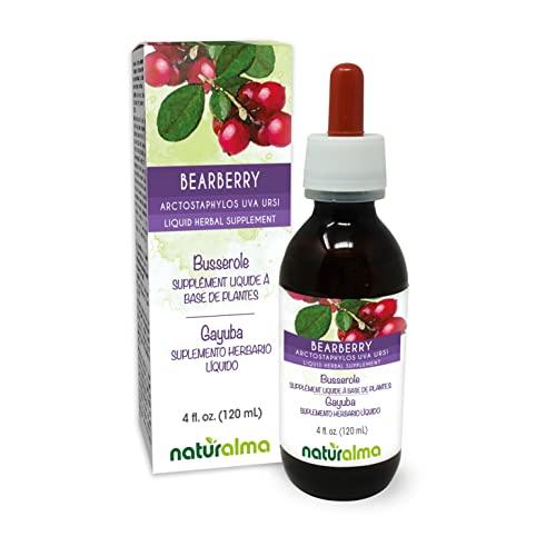 Naturalma Bearberry (Arctostaphylos uva ursi) leaf Alcohol-free Tincture - Liquid extract in drops - Herbal supplement - Vegan