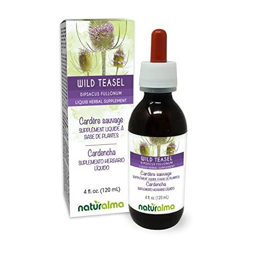 Naturalma Wild Teasel (Dipsacus fullonum or D. sylvestris) Root Alcohol-Free Tincture - Liquid Extract in Drops - Herbal Supplement - Vegan
