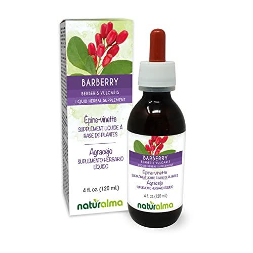 Naturalma Barberry (Berberis vulgaris) root bark Alcohol-free Tincture - Liquid extract in drops - Herbal supplement - Vegan