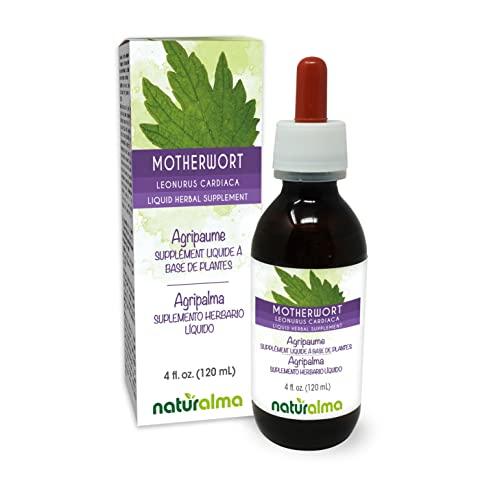 Naturalma Motherwort (Leonurus cardiaca) herb with Flowers Alcohol-Free Tincture - Liquid Extract in Drops - Herbal Supplement - Vegan