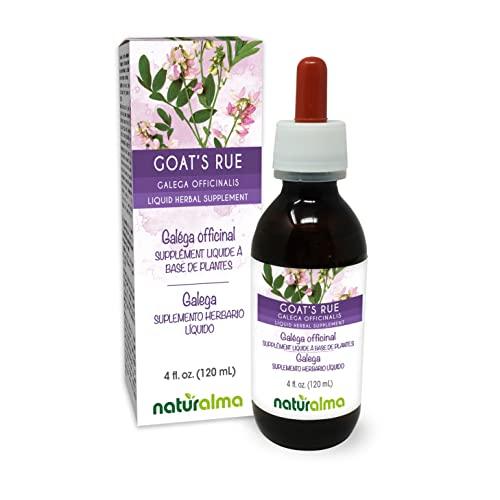 Naturalma Goat's rue (Galega officinalis) herb with flowers Alcohol-free Tincture - Liquid extract in drops - Herbal supplement - Vegan