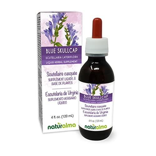 Naturalma Blue skullcap (Scutellaria lateriflora) herb Alcohol-free Tincture - Liquid extract in drops - Herbal supplement - Vegan