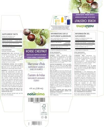Naturalma Horse Chestnut (Aesculus hippocastanum) Seed Alcohol-Free Tincture - 4 fl oz Liquid Extract in Drops - Herbal Supplement - Vegan