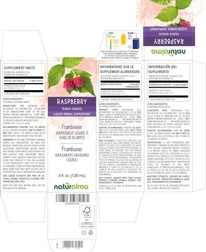 Naturalma Raspberry (Rubus idaeus) leaf Alcohol-free Tincture - Liquid extract in drops - Herbal supplement - Vegan