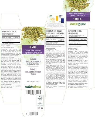 Naturalma Horsetail (Equisetum arvense) herb Tincture - Liquid Extract in Drops - Herbal Supplement - Vegan