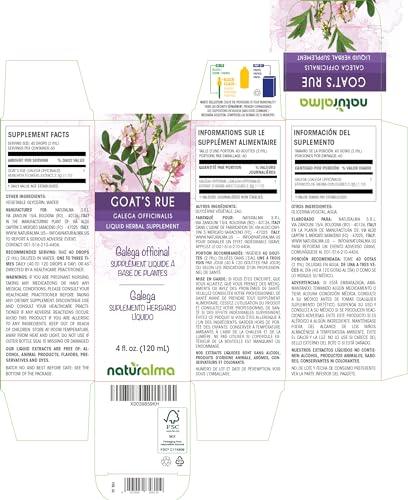 Naturalma Goat's rue (Galega officinalis) herb with flowers Alcohol-free Tincture - Liquid extract in drops - Herbal supplement - Vegan