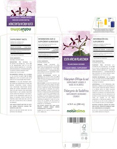 Naturalma South African pelargonium (Pelargonium sidoides) root Alcohol-free Tincture - Liquid extract in drops - Herbal supplement - Vegan