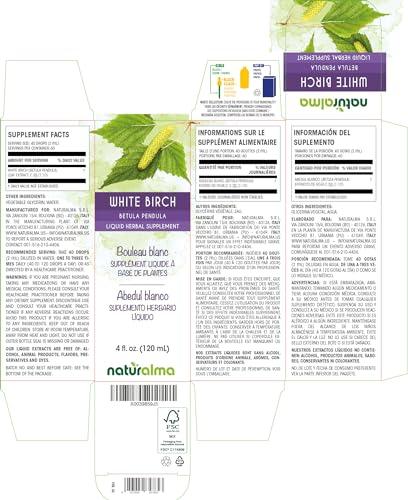 Naturalma White birch (Betula pendula, alba or verrucosa) leaf Alcohol-free Tincture - Liquid extract in drops - Herbal supplement - Vegan