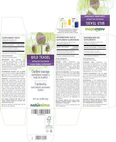 Naturalma Wild Teasel (Dipsacus fullonum or D. sylvestris) Root Alcohol-Free Tincture - Liquid Extract in Drops - Herbal Supplement - Vegan