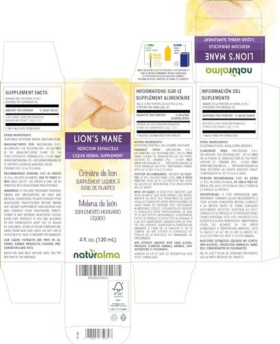 Naturalma Lion's Mane (Hericium erinaceus) Fungus or Mushroom Alcohol-Free Tincture - Liquid Extract in Drops - Herbal Supplement - Vegan