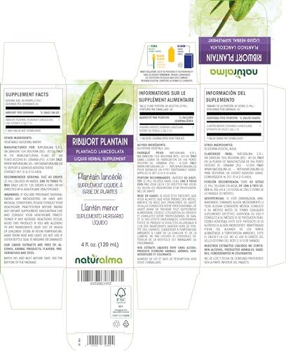 Naturalma Ribwort plantain (Plantago lanceolata) leaf Alcohol-free Tincture - Liquid extract in drops - Herbal supplement - Vegan
