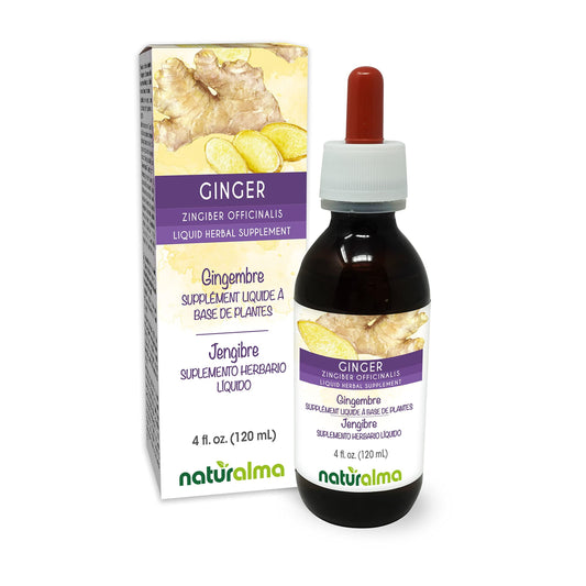 Naturalma Ginger (Zingiber officinalis) rhizome Alcohol-free Tincture - 4 fl oz Liquid extract in drops - Herbal supplement - Vegan