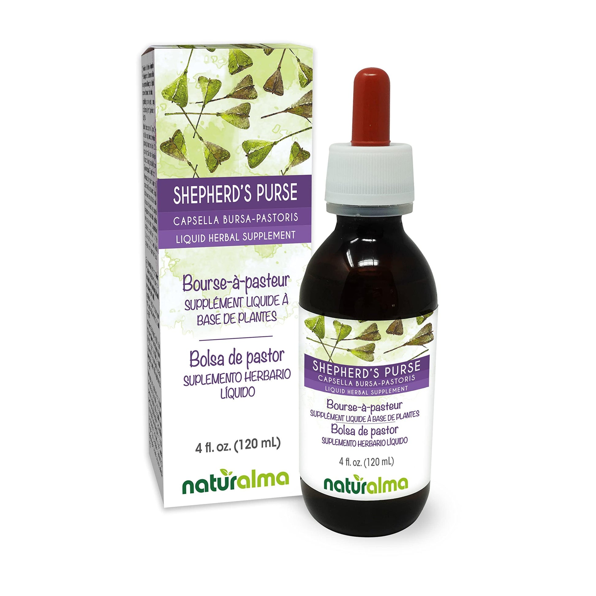 BATMBORSAPASTORE4OZ