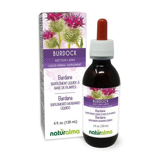 Naturalma Burdock (Arctium lappa) root and herb Alcohol-free Tincture - 4 fl oz Liquid extract in drops - Herbal supplement - Vegan