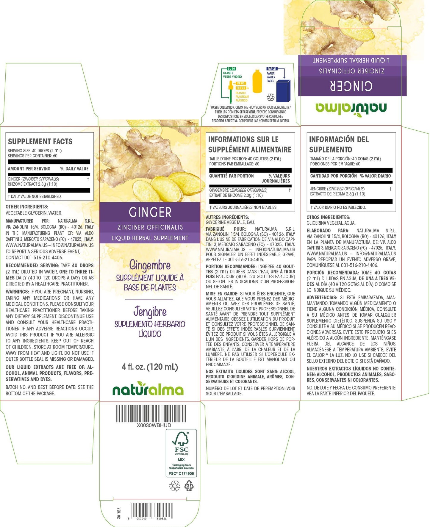 Naturalma Ginger (Zingiber officinalis) rhizome Alcohol-free Tincture - 4 fl oz Liquid extract in drops - Herbal supplement - Vegan