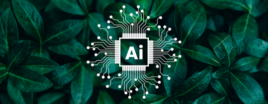 Naturalma Ai: How Technology Supports You in Choosing Supplements