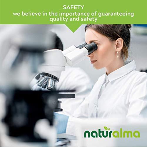 Naturalma Tribulus (Tribulus terrestris) Fruit Alcohol-Free Tincture - Liquid Extract in Drops - Herbal Supplement - Vegan