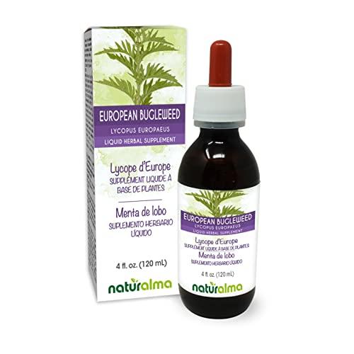 Naturalma European bugleweed or Gypsywort (Lycopus europaeus) herb Alcohol-free Tincture - Liquid extract in drops - Herbal supplement - Vegan