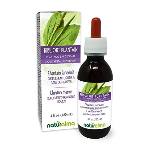 Naturalma Ribwort plantain (Plantago lanceolata) leaf Alcohol-free Tincture - Liquid extract in drops - Herbal supplement - Vegan