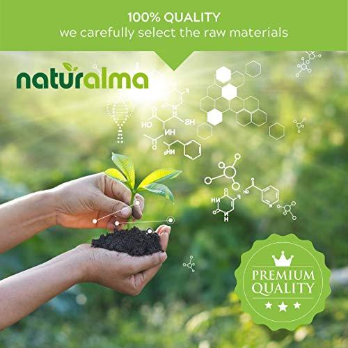 Naturalma Guarana (Paullinia cupana) Seed Alcohol-Free Tincture - Liquid Extract in Drops - Herbal Supplement - Vegan