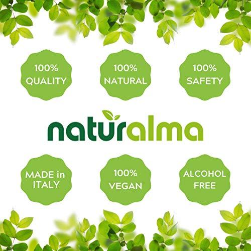Naturalma Guarana (Paullinia cupana) Seed Alcohol-Free Tincture - Liquid Extract in Drops - Herbal Supplement - Vegan