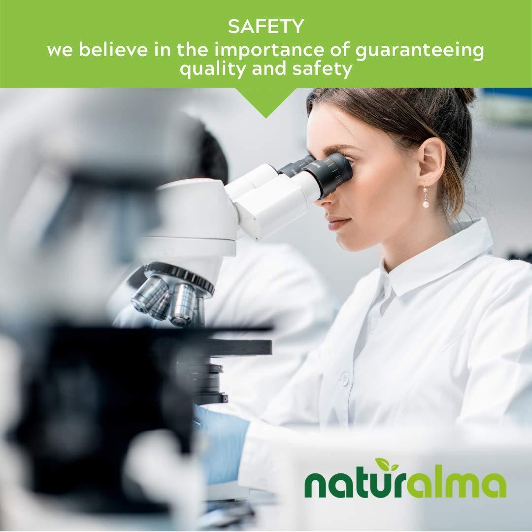 Naturalma Guarana (Paullinia cupana) Seed Alcohol-Free Tincture - Liquid Extract in Drops - Herbal Supplement - Vegan